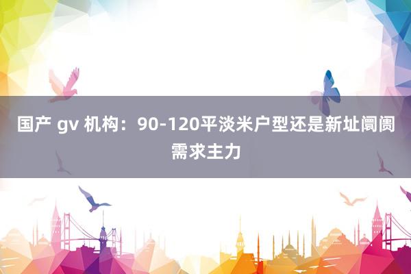 国产 gv 机构：90-120平淡米户型还是新址阛阓需求主力