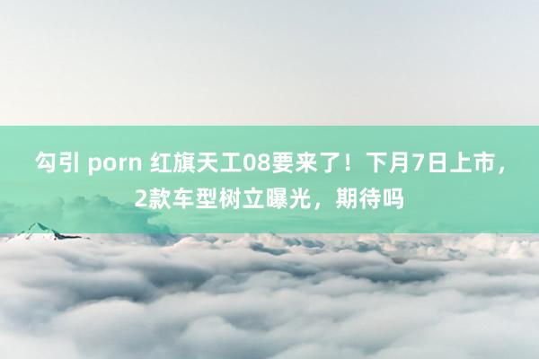 勾引 porn 红旗天工08要来了！下月7日上市，2款车型树立曝光，期待吗