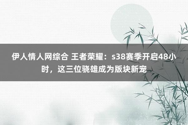 伊人情人网综合 王者荣耀：s38赛季开启48小时，这三位骁雄成为版块新宠