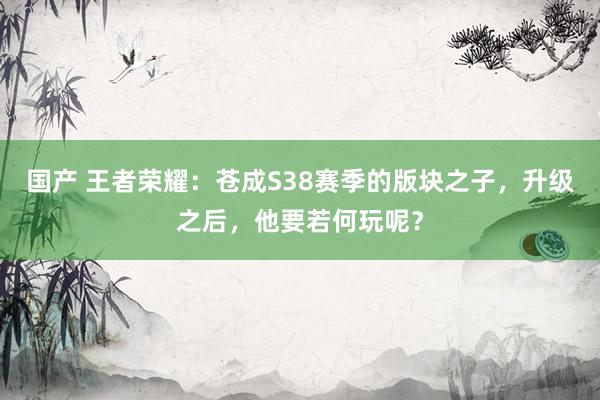 国产 王者荣耀：苍成S38赛季的版块之子，升级之后，他要若何玩呢？