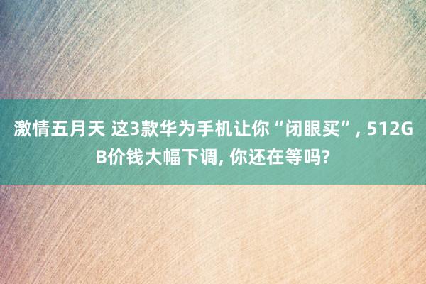 激情五月天 这3款华为手机让你“闭眼买”， 512GB价钱大幅下调， 你还在等吗?