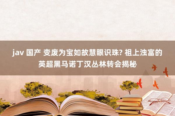 jav 国产 变废为宝如故慧眼识珠? 祖上浊富的英超黑马诺丁汉丛林转会揭秘