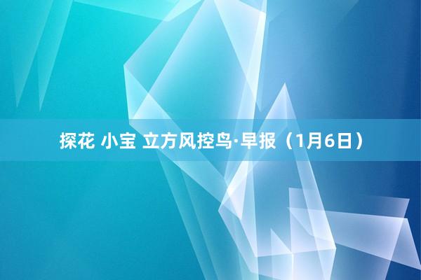 探花 小宝 立方风控鸟·早报（1月6日）