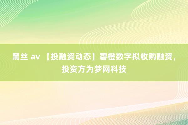 黑丝 av 【投融资动态】碧橙数字拟收购融资，投资方为梦网科技