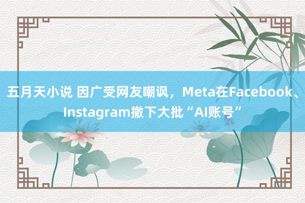 五月天小说 因广受网友嘲讽，Meta在Facebook、Instagram撤下大批“AI账号”