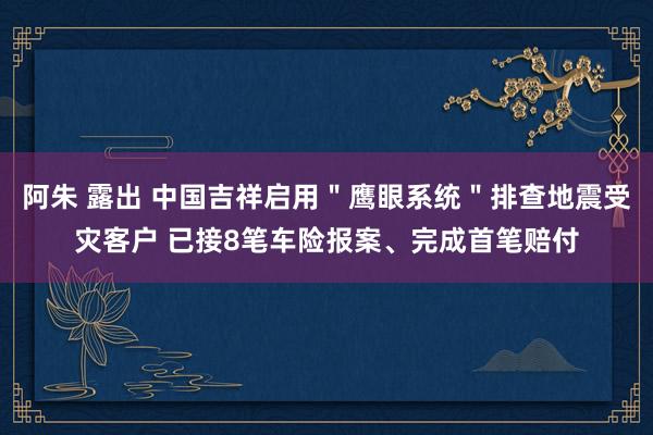 阿朱 露出 中国吉祥启用＂鹰眼系统＂排查地震受灾客户 已接8笔车险报案、完成首笔赔付