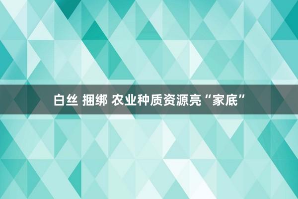 白丝 捆绑 农业种质资源亮“家底”