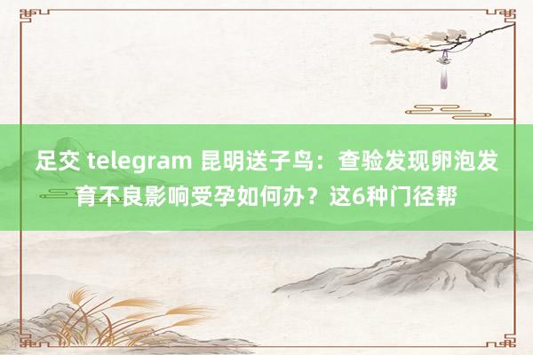 足交 telegram 昆明送子鸟：查验发现卵泡发育不良影响受孕如何办？这6种门径帮