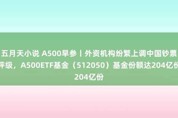 五月天小说 A500早参丨外资机构纷繁上调中国钞票评级，A500ETF基金（512050）基金份额达204亿份