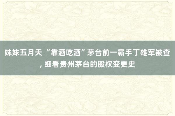 妹妹五月天 “靠酒吃酒”茅台前一霸手丁雄军被查， 细看贵州茅台的股权变更史