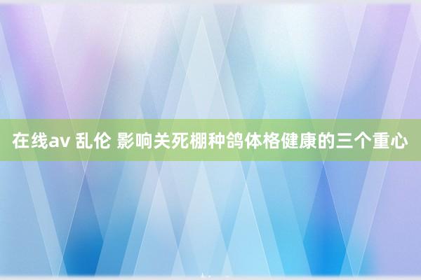 在线av 乱伦 影响关死棚种鸽体格健康的三个重心