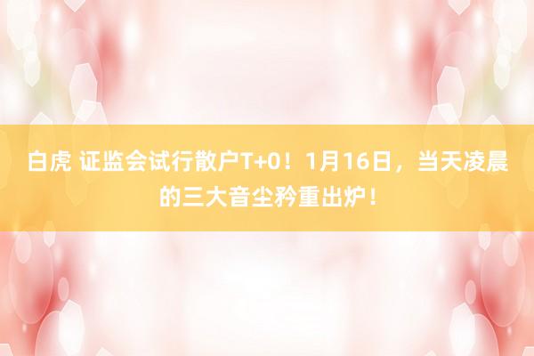 白虎 证监会试行散户T+0！1月16日，当天凌晨的三大音尘矜重出炉！