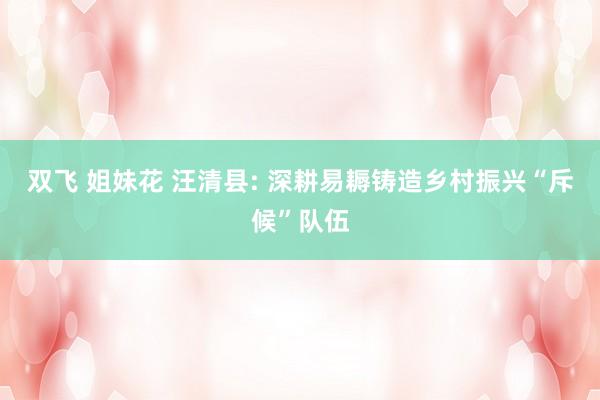 双飞 姐妹花 汪清县: 深耕易耨铸造乡村振兴“斥候”队伍